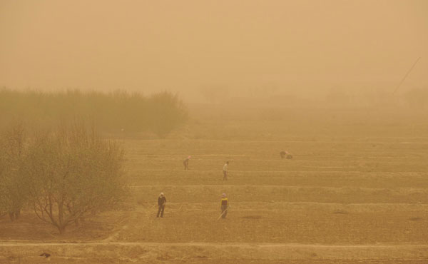 Sandstorm sweeps across NW China