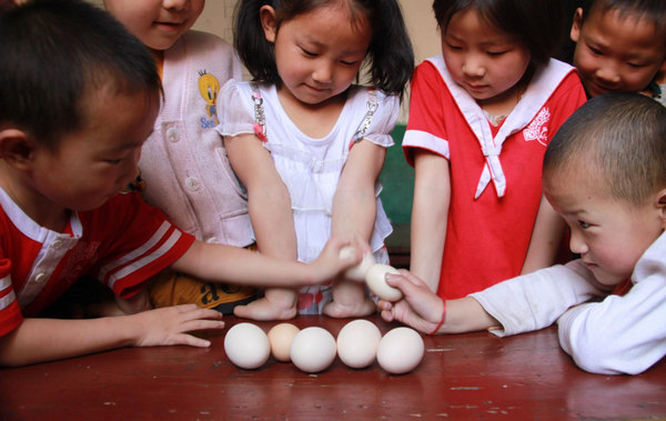 Eggs fighting hatches the start of summer