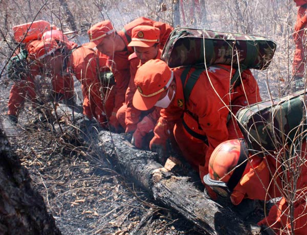 Forest fire in NE China under control