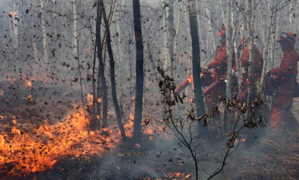 Forest fire in NE China under control