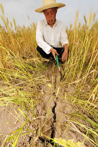 Severe drought lingers in C China