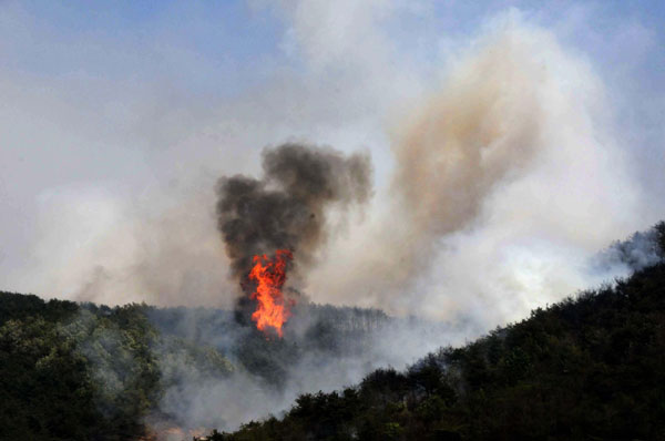 Forest fire put out in NE China