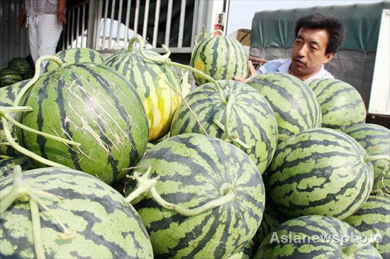 Watermelons burst up, so does the sale