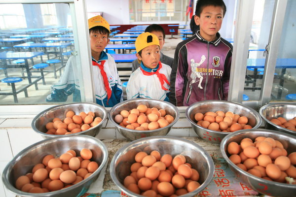 One-egg-a-day scheme improves pupils' diets