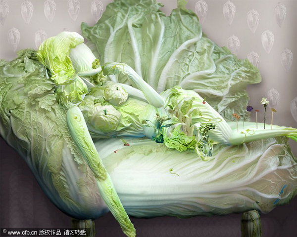 'The Fantasies of Chinese Cabbage'