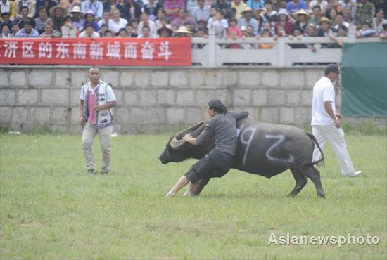 Bulls battle in SW China