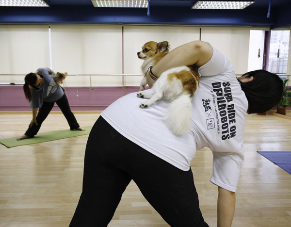 Dog yoga lessons in HK