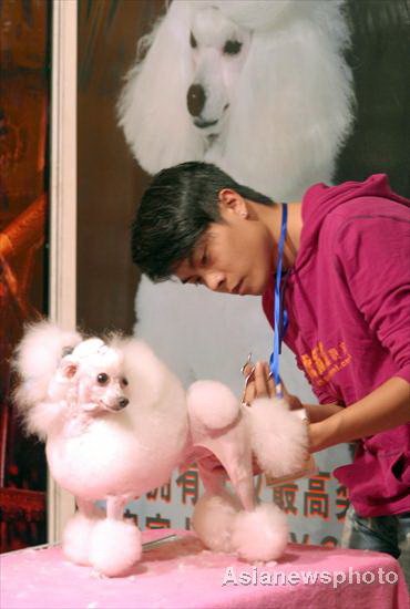 Pets Expo opens in Central China