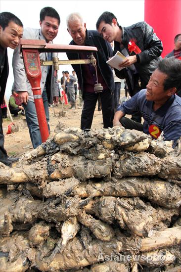 Biggest lotus root crowned in C China