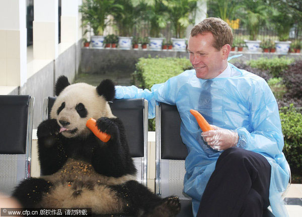 British minister visits pandas bound for Edinburgh