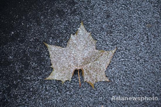 Season's first snow falls in Beijing