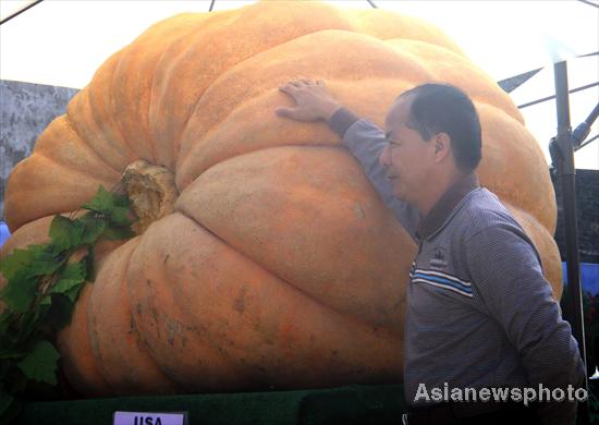 Super pumpkins on display