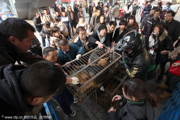 Stray dogs saved from meat market