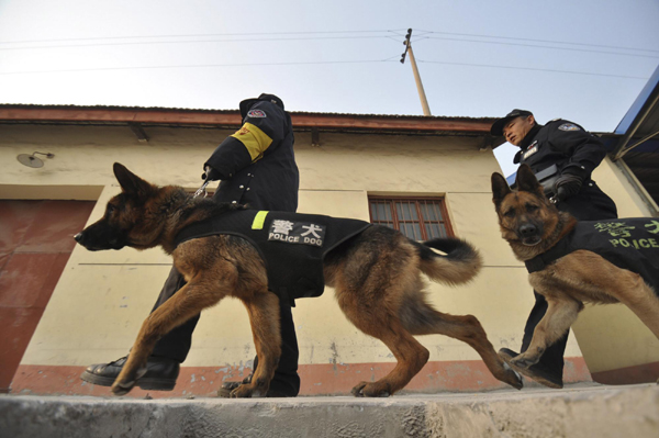 Police dogs help keep railway stations safe