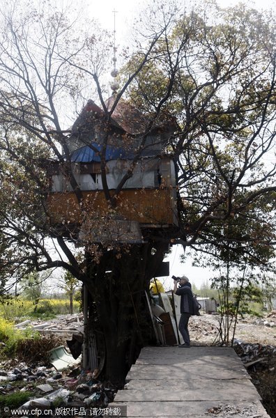 8,000 yuan tree house to be axed
