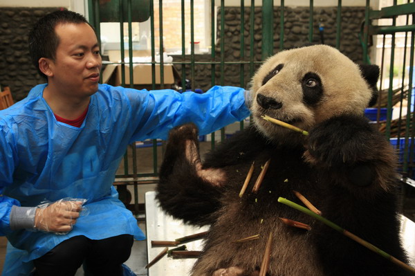 China Daily Weekly Photos (May 6-11)