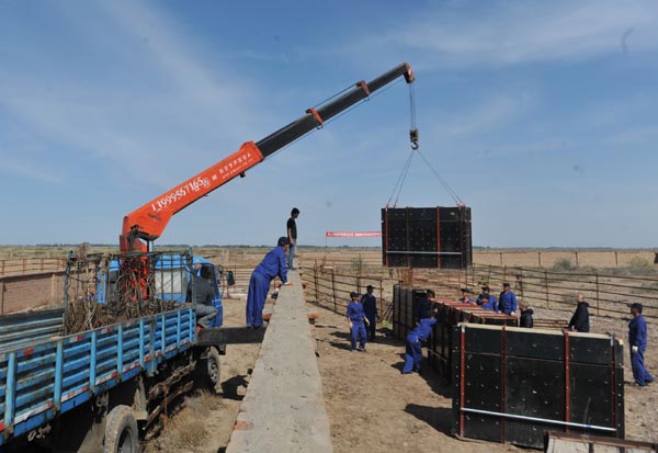 China sends endangered horses to Mongolia