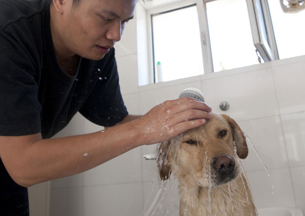 Training of detection dogs in NW China