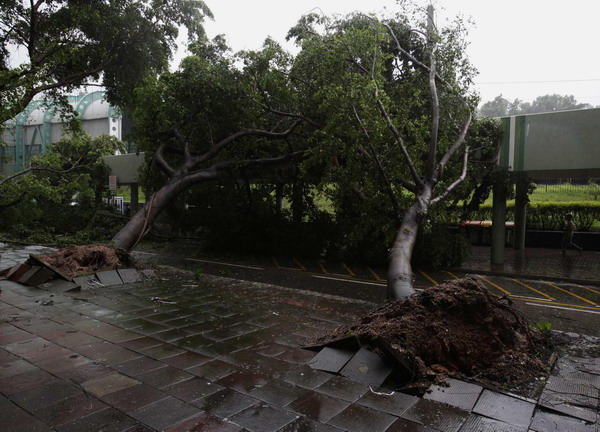 Typhoon Vicente lashes South China