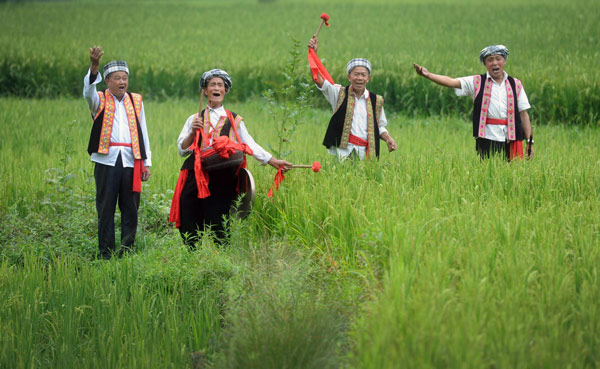Old farmers form folk band