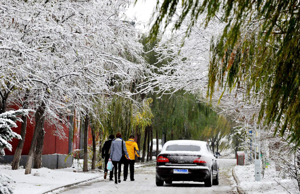 Cold wave brings snow to Inner Mongolia