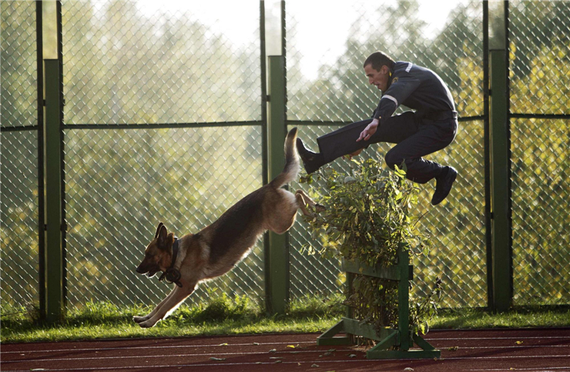 Images of the year 2012 - Jump