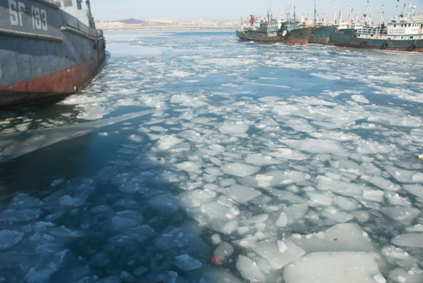 Cold waves continue to bring sea ice in coastal provinces