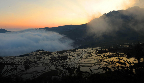 Patchwork beauty of Yunnan terraced fields