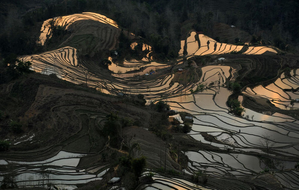 Patchwork beauty of Yunnan terraced fields