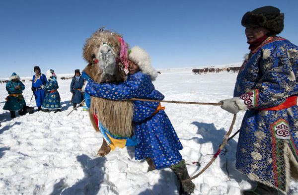 Livestock festival in North China