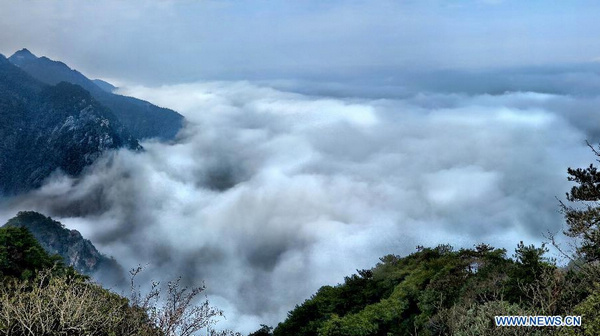 Fabulous scenery of Lushan Mountain in E. China