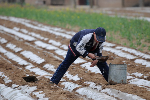 Lingering drought plagues NW China