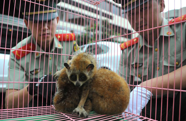 Illegal lemur trade uncovered in E China