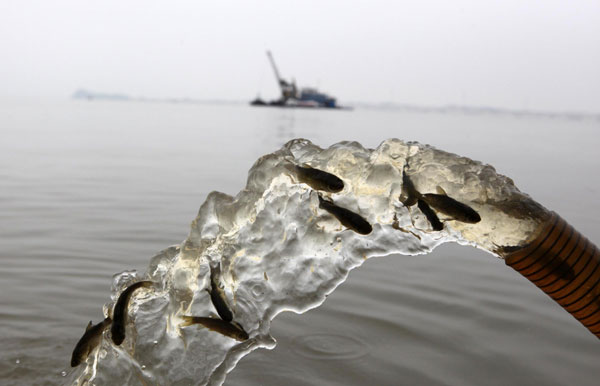 Fish release starts in E China