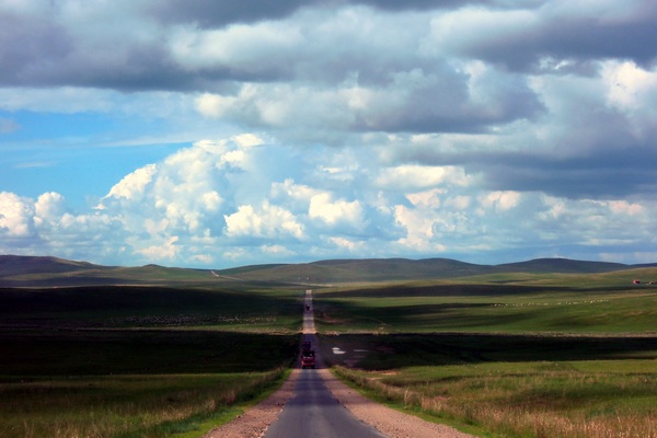 Galloping through prairie in Inner Mongolia