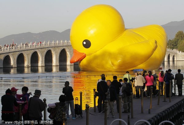 Trials and tribulations of rubber duck