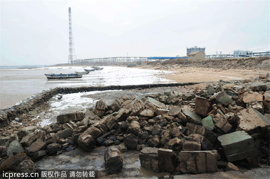 Oil spill from Qingdao blast kills sea life