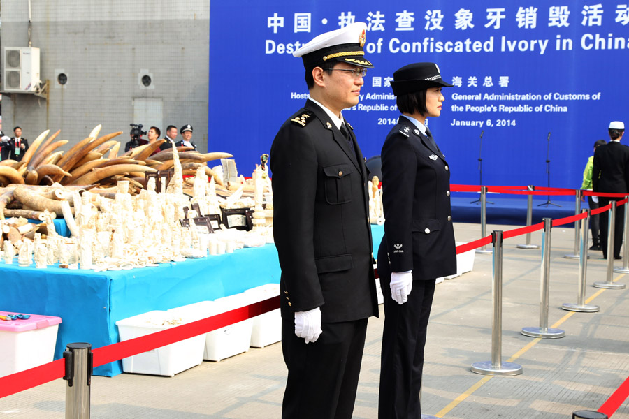 China destroys 6.1 tons of seized ivory