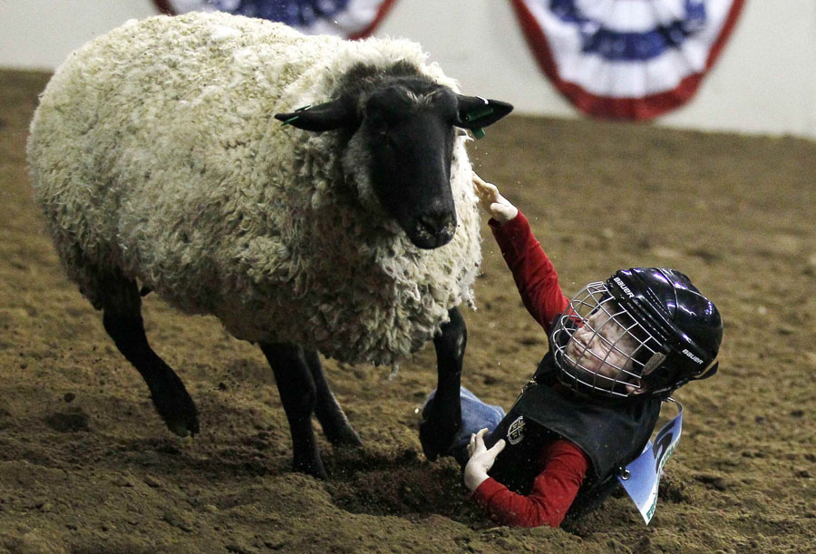 Young riders reign at US stock show