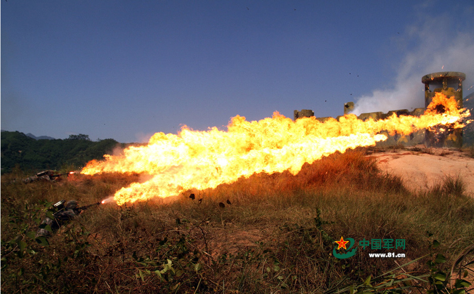 Photo highlights of PLA Daily website