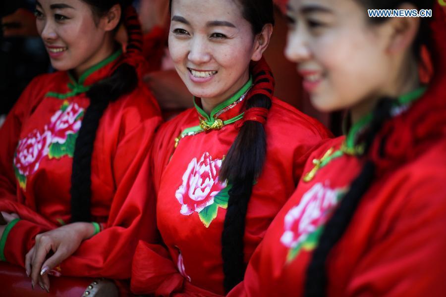 Annual Carnival of Culture festival celebrated in Berlin