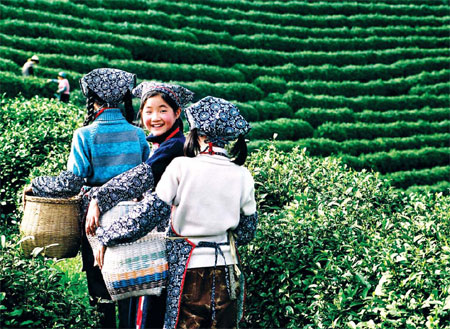 Tea culture lives at Hangzhou expo