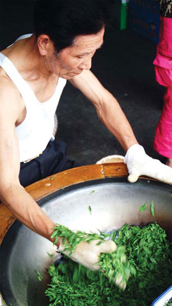 Tea culture lives at Hangzhou expo