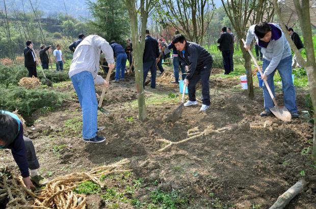 市规划局义务植树添新绿