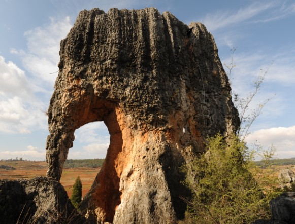 Elephant Rock