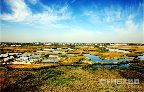 Autumn encounter in NW China