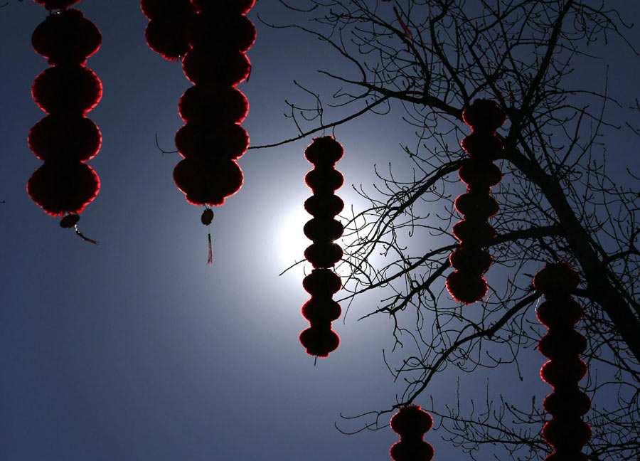 Photos: Spring Festival around the world