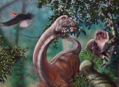 世界10大未解之谜：刚果恐龙是否真的存在(图)