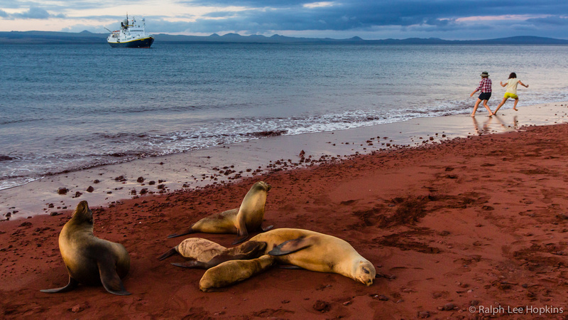 流连“最后天堂”科隆群岛：海狮与人共享美景