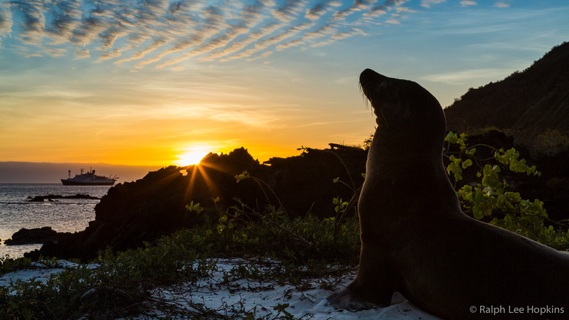 流连“最后天堂”科隆群岛：海狮与人共享美景